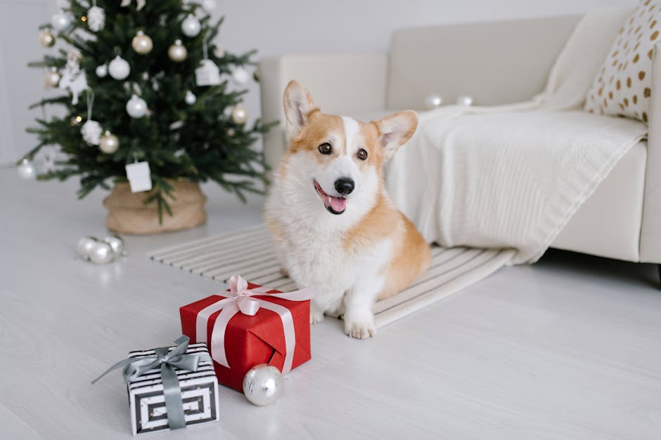 The Ultimate Modern Decoration Gifts for Every Dog and Puppy Lover