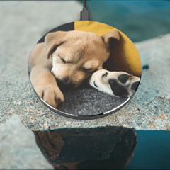 Adorable Puppy Wireless Charger: Power Up with Puppy Love! 🐾🔌 - Best Gifter Ever: Unwrap Your Passion: Ski. Snowboard. Travel. Love. Play. Shop.