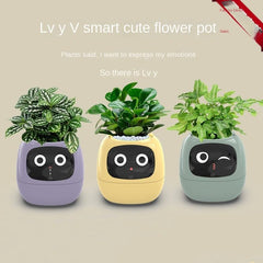 High - End AI Smart USB Planter - WiFi Connected, Interactive, Eco - Friendly with Emotional Pet Display - Gifts for all occasions. Best gifts for anyone. Gifts for hard to shop people.