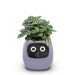 High - End AI Smart USB Planter - WiFi Connected, Interactive, Eco - Friendly with Emotional Pet Display - Best Gifter Ever: Everyday Items and Unique Gifts for Ski, Snowboard, Travel, and More