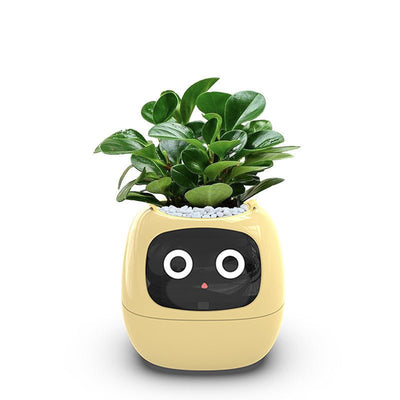 High - End AI Smart USB Planter - WiFi Connected, Interactive, Eco - Friendly with Emotional Pet Display - Best Gifter Ever: Everyday Items and Unique Gifts for Ski, Snowboard, Travel, and More