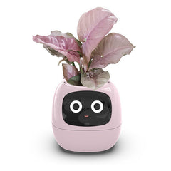 High - End AI Smart USB Planter - WiFi Connected, Interactive, Eco - Friendly with Emotional Pet Display - Best Gifter Ever: Everyday Items and Unique Gifts for Ski, Snowboard, Travel, and More