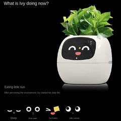 High - End AI Smart USB Planter - WiFi Connected, Interactive, Eco - Friendly with Emotional Pet Display - Best Gifter Ever: Everyday Items and Unique Gifts for Ski, Snowboard, Travel, and More