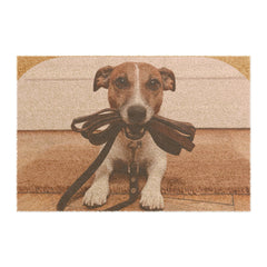 “Pawsitively Welcoming” Dog - Inspired Doormat: A Perfect Greeting for Dog - Loving Homes - Best Gifter Ever: Unwrap Your Passion: Ski. Snowboard. Travel. Love. Play. Shop.