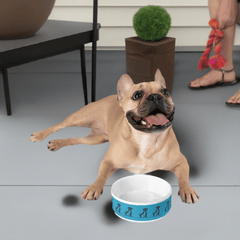 Premium Ceramic Pet Bowl - Made in USA | Luxurious & Safe Pet Feeding Dish for Healthy Pets - Best Gifter Ever: Unwrap Your Passion: Ski. Snowboard. Travel. Love. Play. Shop.