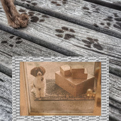 Puppy Welcome Doormat | Charming Entrance Decor - Best Gifter Ever: Unwrap Your Passion: Ski. Snowboard. Travel. Love. Play. Shop.