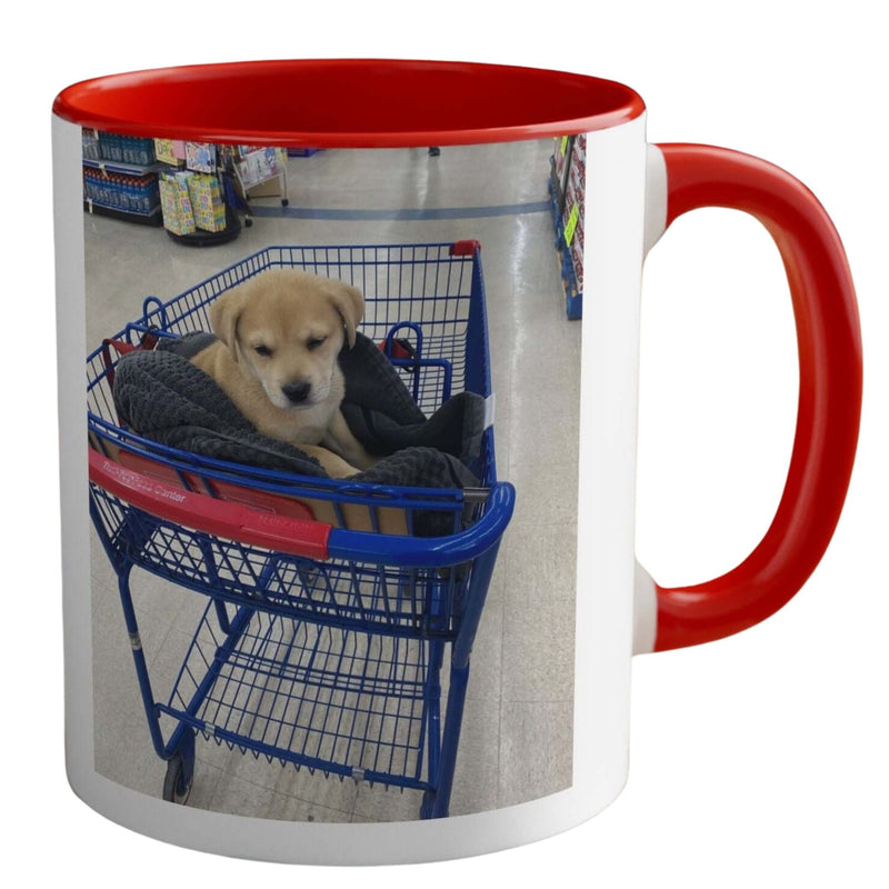 Top Trending: Cute Puppy in Shopping Cart Mug - ‘Energy Efficient, Not Lazy!’ Perfect Christmas Gift! - Best Gifter Ever: Unwrap Your Passion: Ski. Snowboard. Travel. Love. Play. Shop.